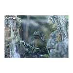 3D Bastelset Drache (MQ6)