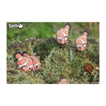 3D Bastelset Clownfisch (MQ6)
