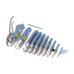 3D Bastelset Blauwal (MQ6)