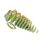 3D Bastelset Chamäleon (MQ6)