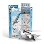 3D Bastelset Royal Albatross (MQ6)