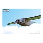 3D Bastelset Royal Albatross (MQ6)