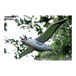 3D Bastelset Royal Albatross (MQ6)