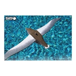 3D Bastelset Royal Albatross (MQ6)