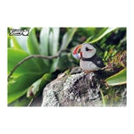 3D Bastelset Papageientaucher (MQ6)