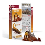 3D Bastelset Walross (MQ6)