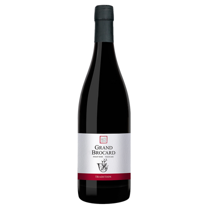 CAVE DE LA CÔTE - Grand Brocard Pinot Noir - 🍷 Französischer Rotwein