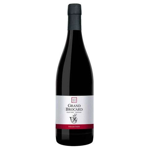 CAVE DE LA CÔTE - Grand Brocard Pinot Noir - 🍷 Vin Rouge Français