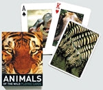 Animals of the wild, Poker, SF