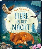 Mein Pop-up-Buch – Tiere in der Nacht (d)