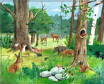 Puzzles Tiere