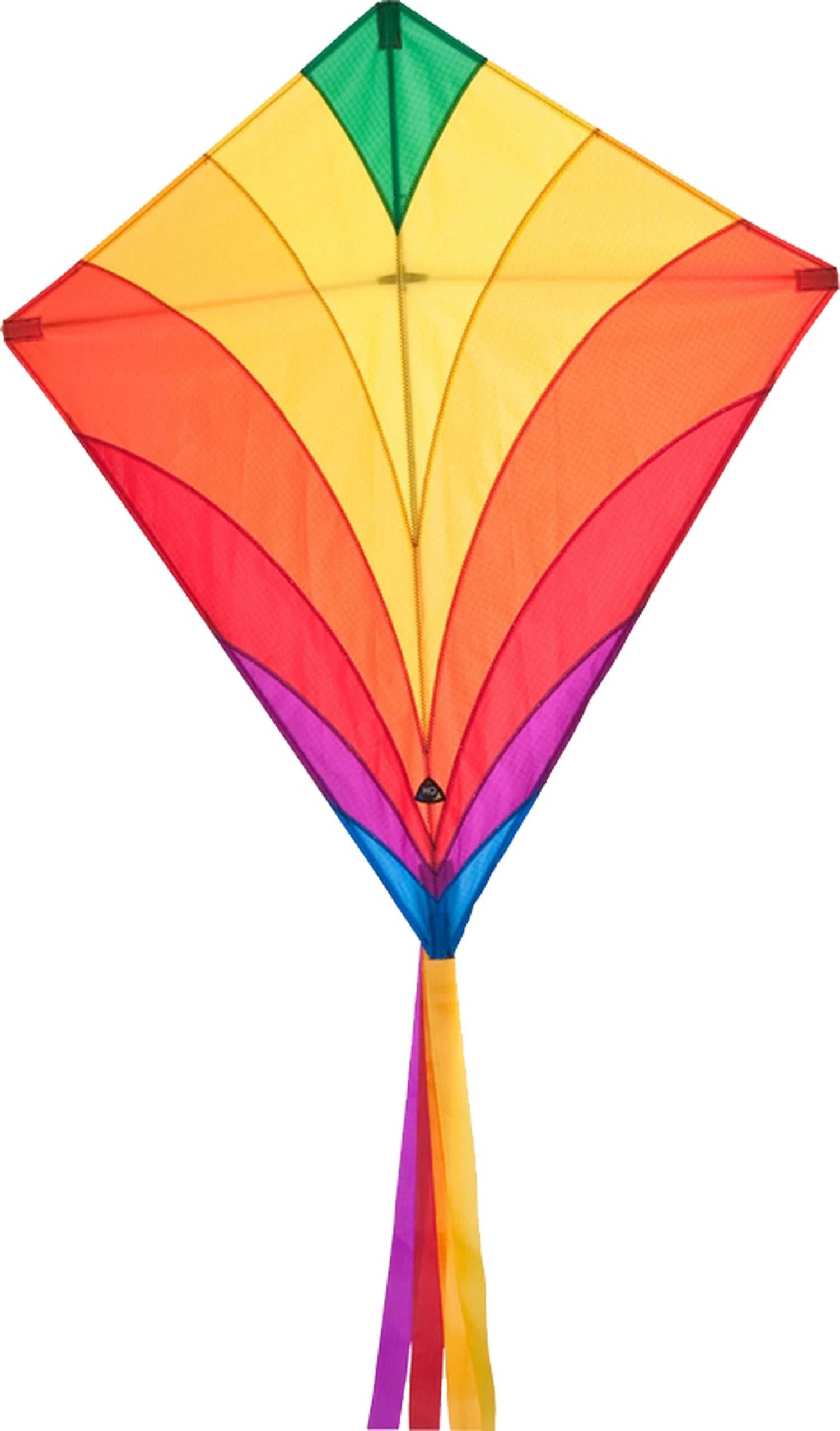 Drachen Eddy Rainbow