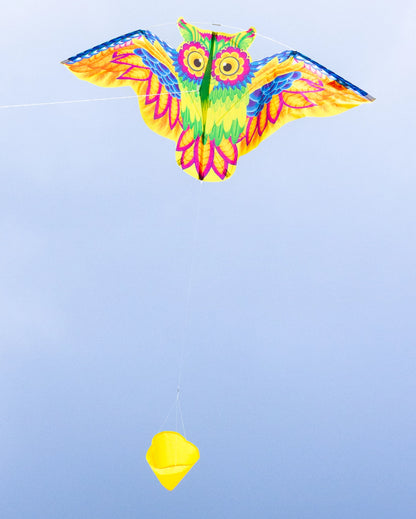 Drachen Flashy Owl Kite