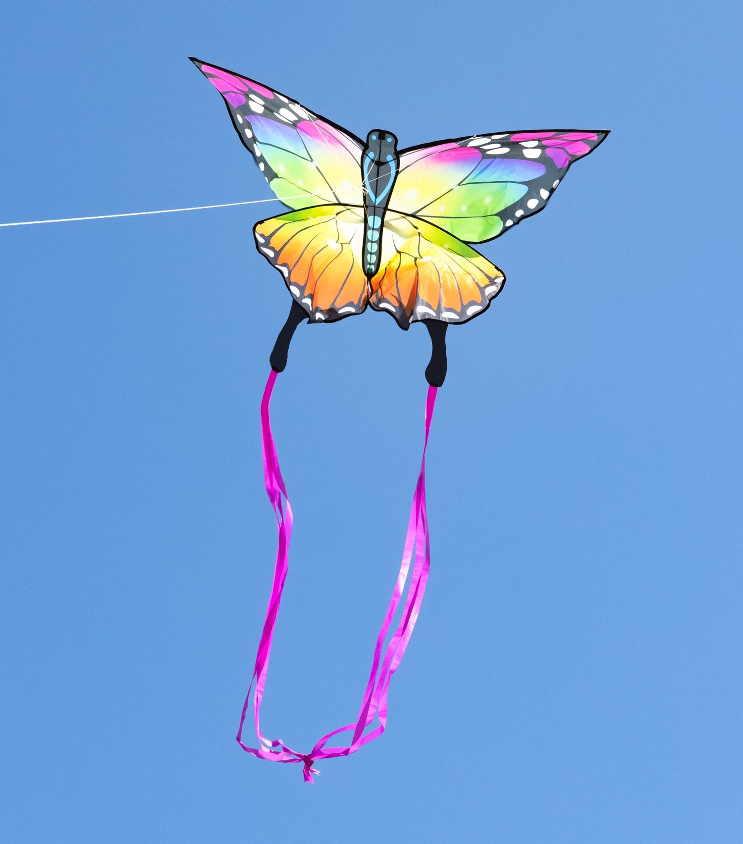 Drachen Butterfly Rainbow Kite