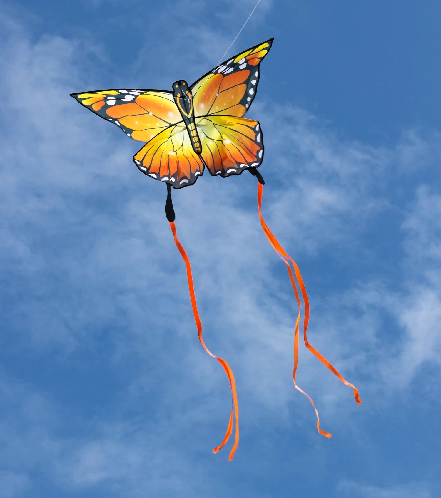 Drachen Butterfly Monarch Kite