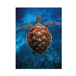 Meeresschildkröte 1000 Teile