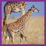 Giraffen 100 Teile