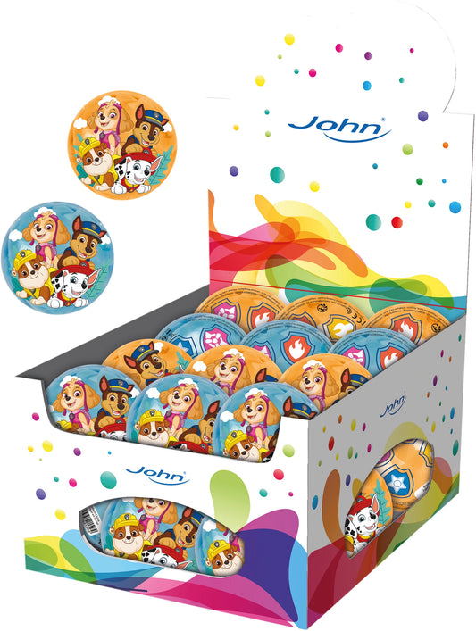 Ball Light Up Paw Patrol (24)