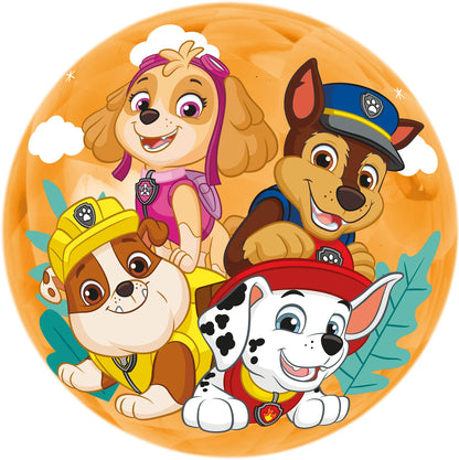 Ball Light Up Paw Patrol (24)