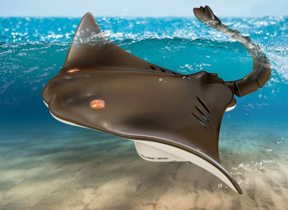 RC Stingray 2.4 Ghz mit Licht