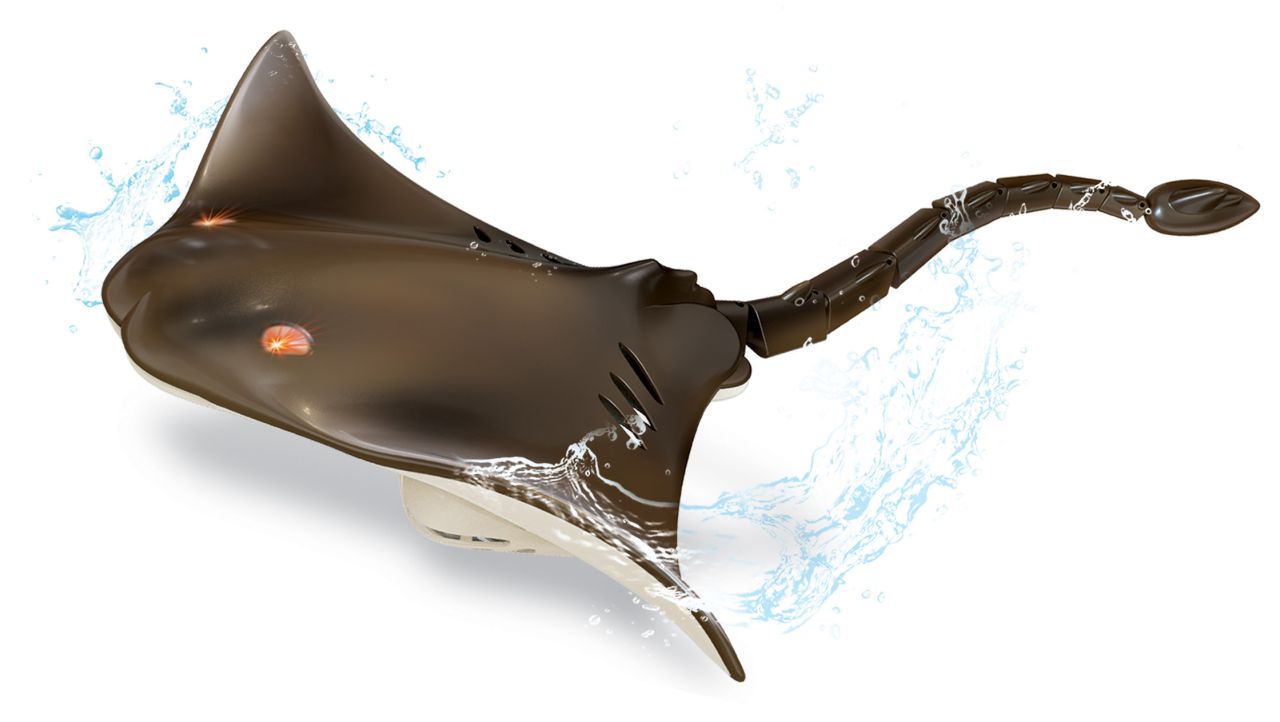 RC Stingray 2.4 Ghz mit Licht