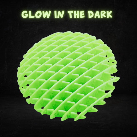 Fidget Worm Glow in the Dark