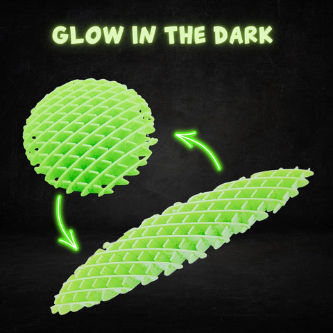 Fidget Worm Glow in the Dark