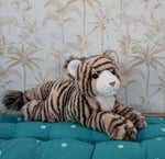 Bengaly Tiger 50cm