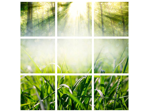 Leinwandbild 9-teilig Zauberwald