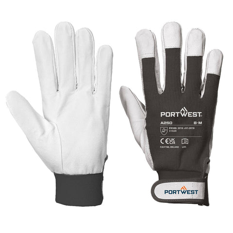 Tergsus Handschuh