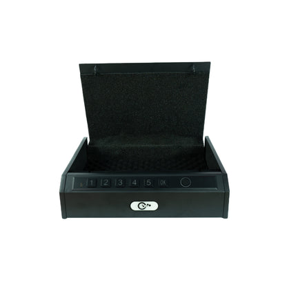 Titan Biometrischer Fingerabdruck Safe – Schneller Zugriff & Mehrbenutzer