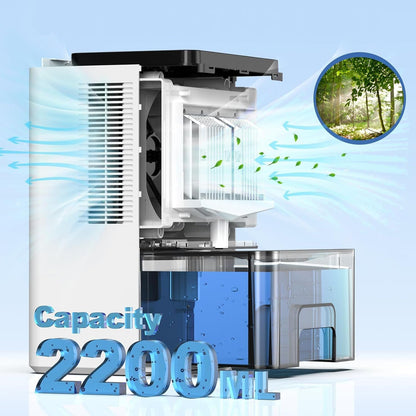 Elektrischer Luftentfeuchter mit Wassertank – 60W, bis 29 m²