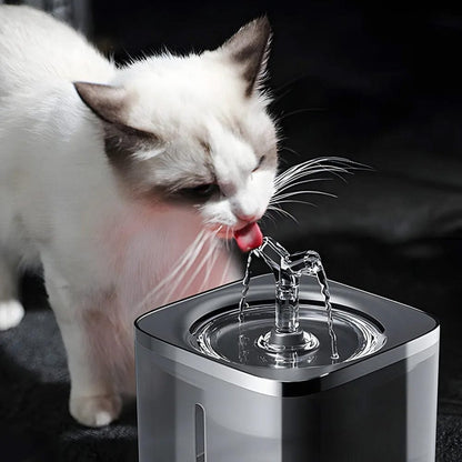 Trinkbrunnen für Katzen & Hunde, 2L