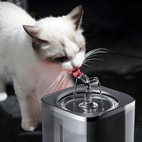 Trinkbrunnen für Katzen & Hunde, 2L