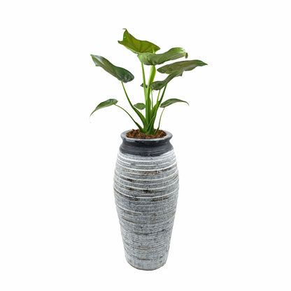 THALYSSARA Vase – 33 x 13 cm, zeitloses Dekorationsobjekt