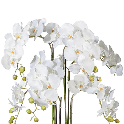 Kunstblume Orchidee – 70 cm, realistisch & pflegeleicht