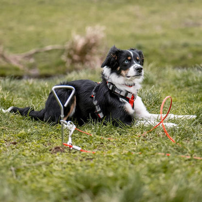 Anlegepflock – robust & vielseitig für Boot, Hund & Zelt