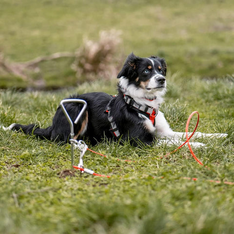Anlegepflock – robust & vielseitig für Boot, Hund & Zelt