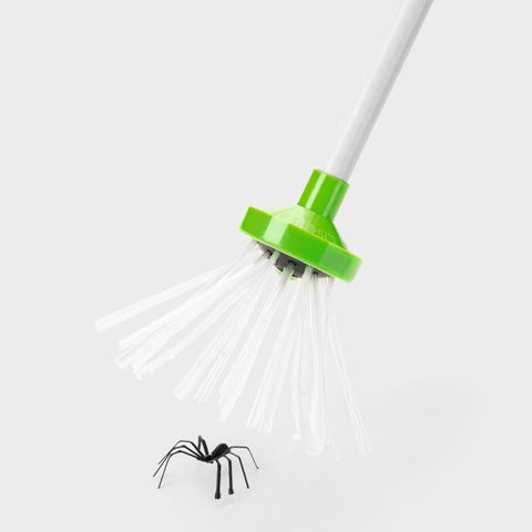 Spinnenfänger – 65 cm, tierschonend & sicher für Mensch & Tier