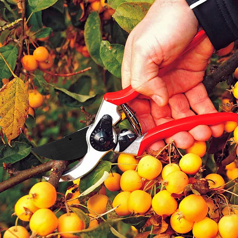 Gartenschere – scharfe Klingen, ergonomisch, mit Ersatzklinge & Ersatzfeder