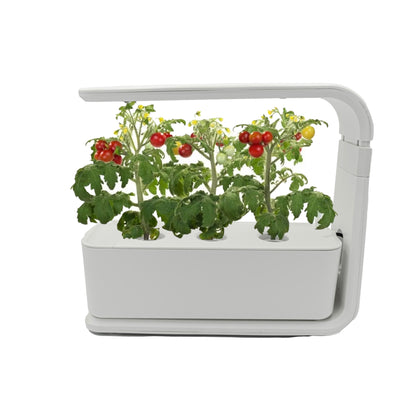 Indoor Smart Garden – automatische Bewässerung & LED, für Kräuter & Gemüse