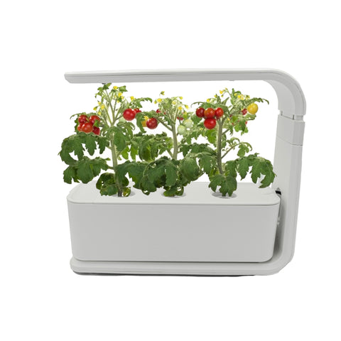 Indoor Smart Garden – automatische Bewässerung & LED, für Kräuter & Gemüse