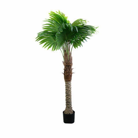 Künstliche Palme Cordyline – 150 cm, pflegeleicht & realistisch