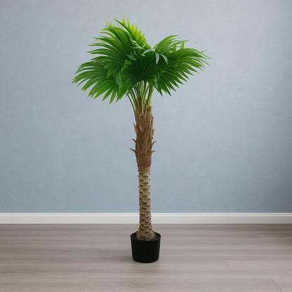 Künstliche Palme Cordyline – 150 cm, pflegeleicht & realistisch