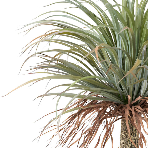 Künstliche Palme Homerops – 111 cm, pflegeleicht & naturgetreu