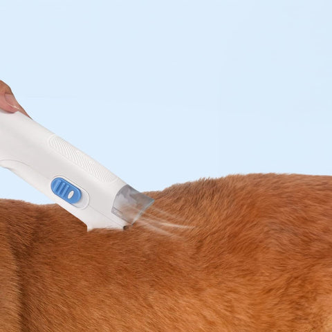 Hundeschermaschine mit Tierhaar-Staubsauger – 2,8 L, 5 Aufsätze, sauber & schonend
