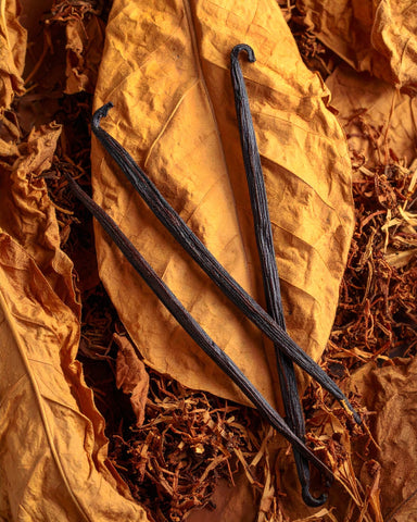 By Velcheva Raumduft Mikado Tobacco Vanilla – 125 ml, Tabak, Vanille & Kakao
