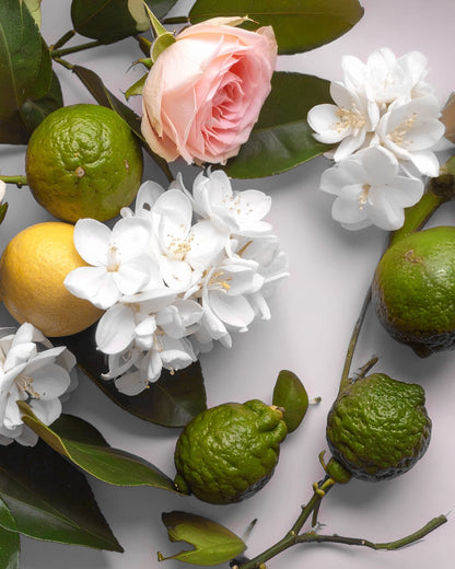 By Velcheva Raumduft Mikado Carolina – 160 ml, Cappuccino, Jasmin & Kakao