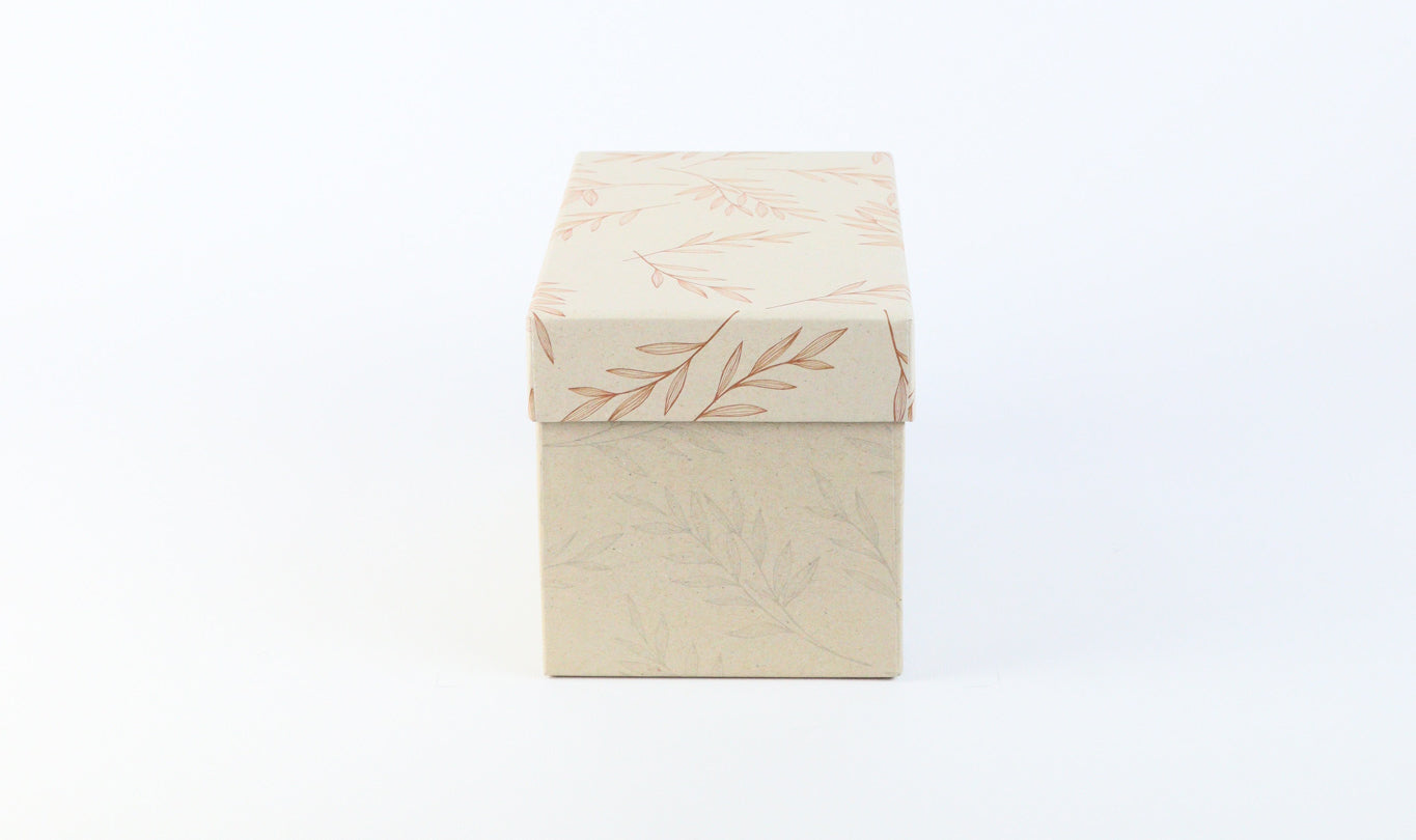 ANCOR Multibox ECOLOGIQUE 100983 small