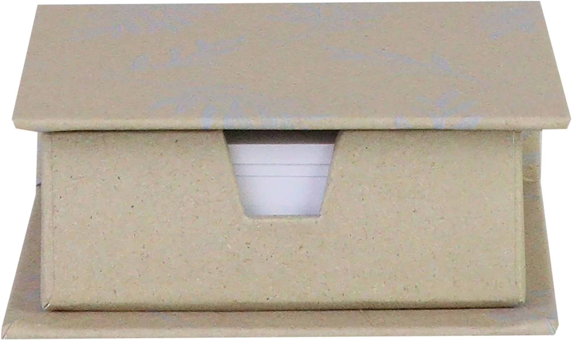 ANCOR Memo Box 116205 ECOLOGIQUE